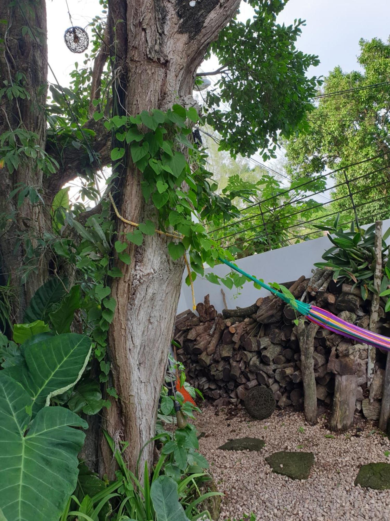 Camino Del Alma Apartments Bacalar Bilik gambar
