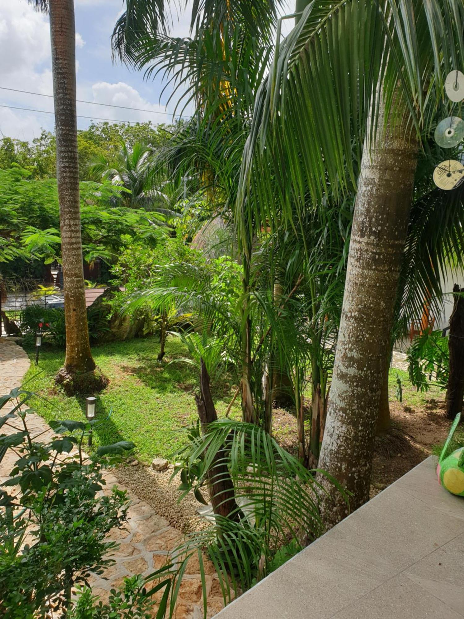 Camino Del Alma Apartments Bacalar Bilik gambar